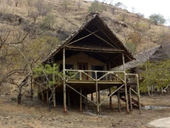 Tanzania Safari Adventure