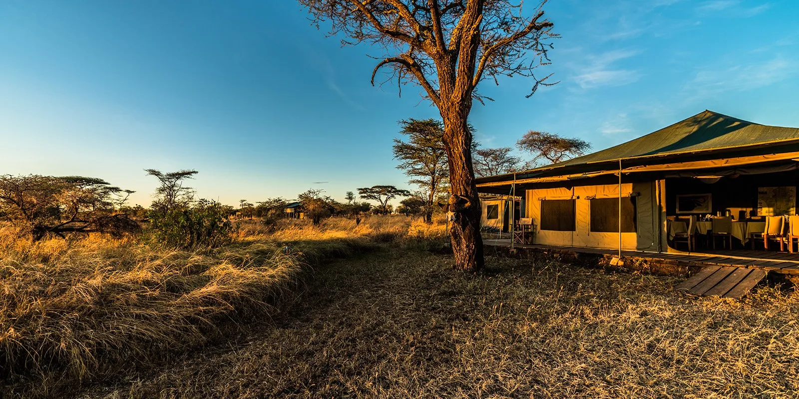 serengeti-angata