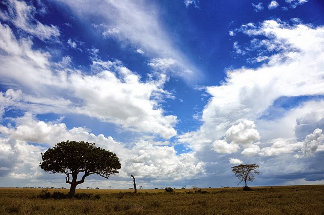serengeti national park