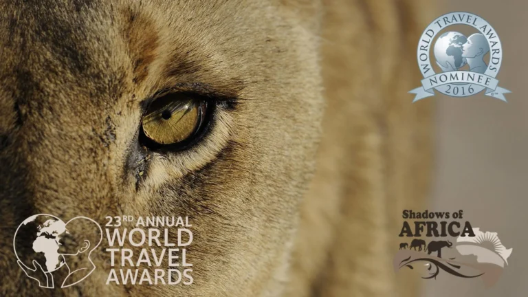 World Travel Awards 2016 nomination: Shadows Of Africa