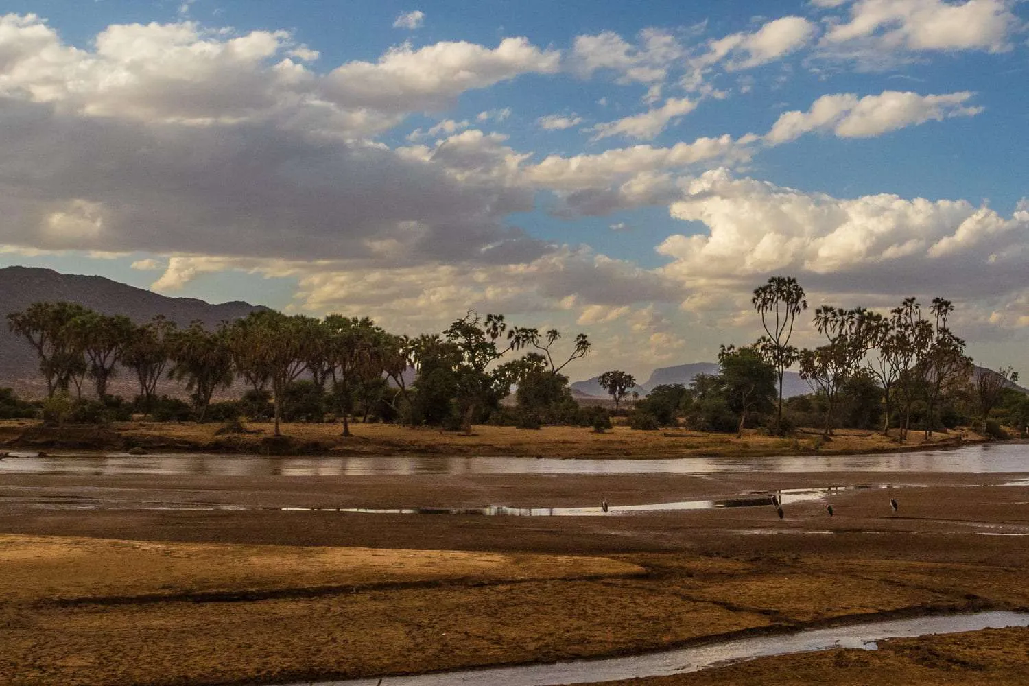 The Buffalo Spring Reserve