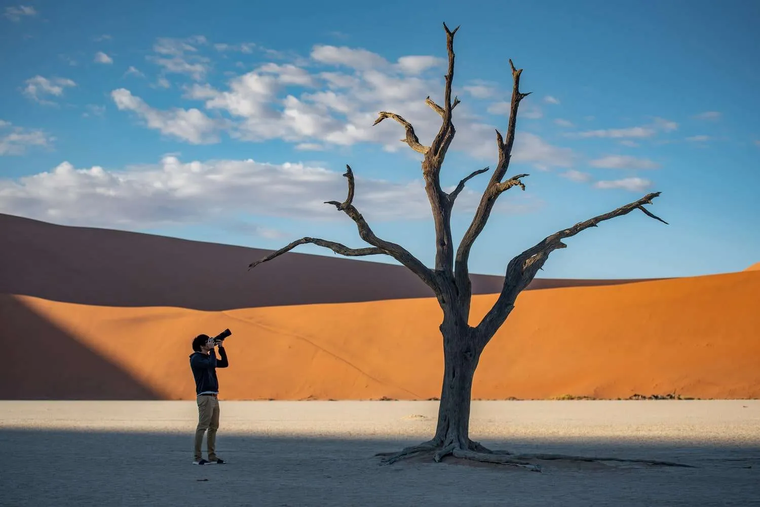 Namibia_Sossusvlei_Deadvlei