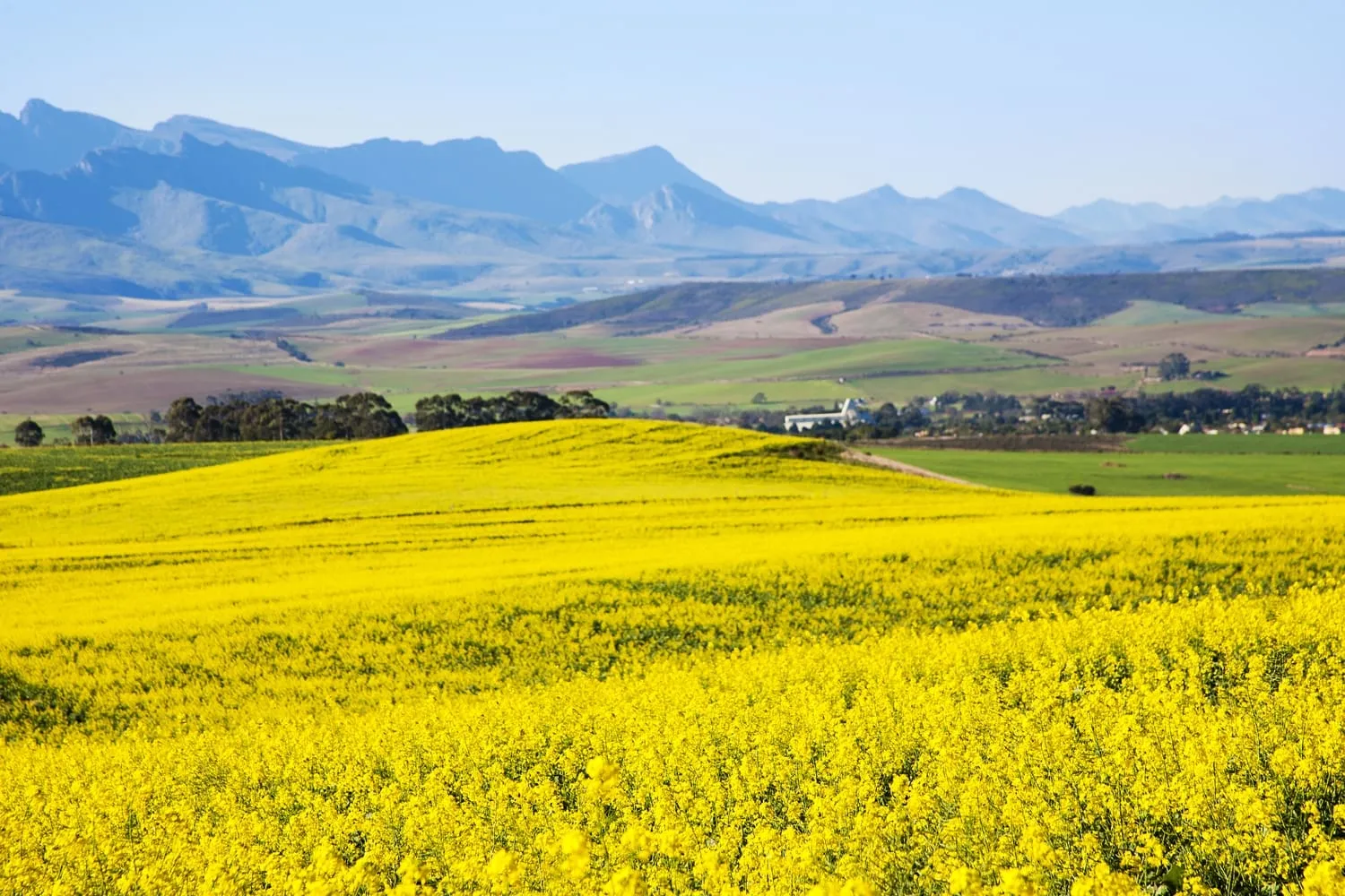 Cape Town Garden Route