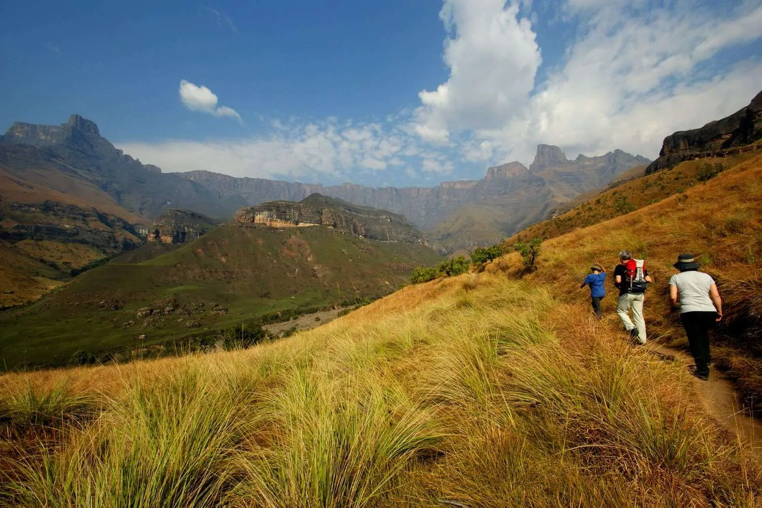 mountains of the Drakensberg south africa