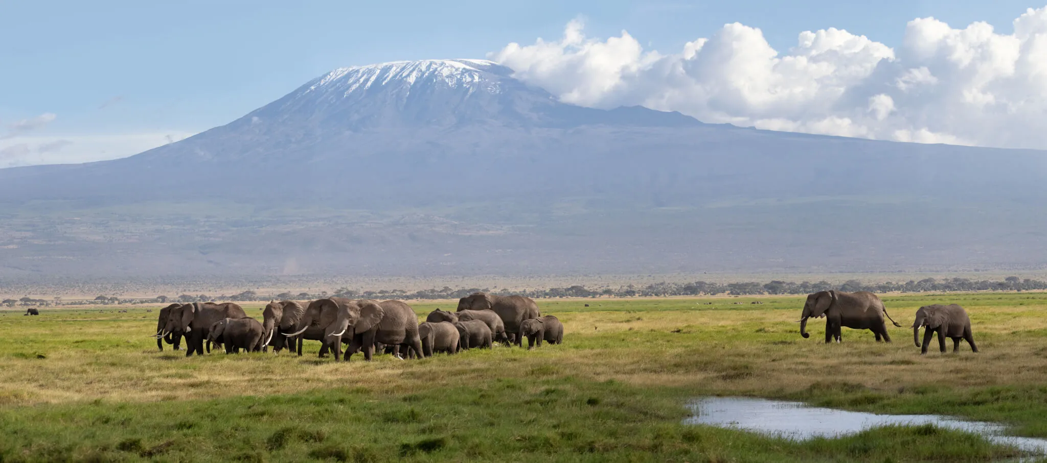 Safari and beach holiday in Kenya