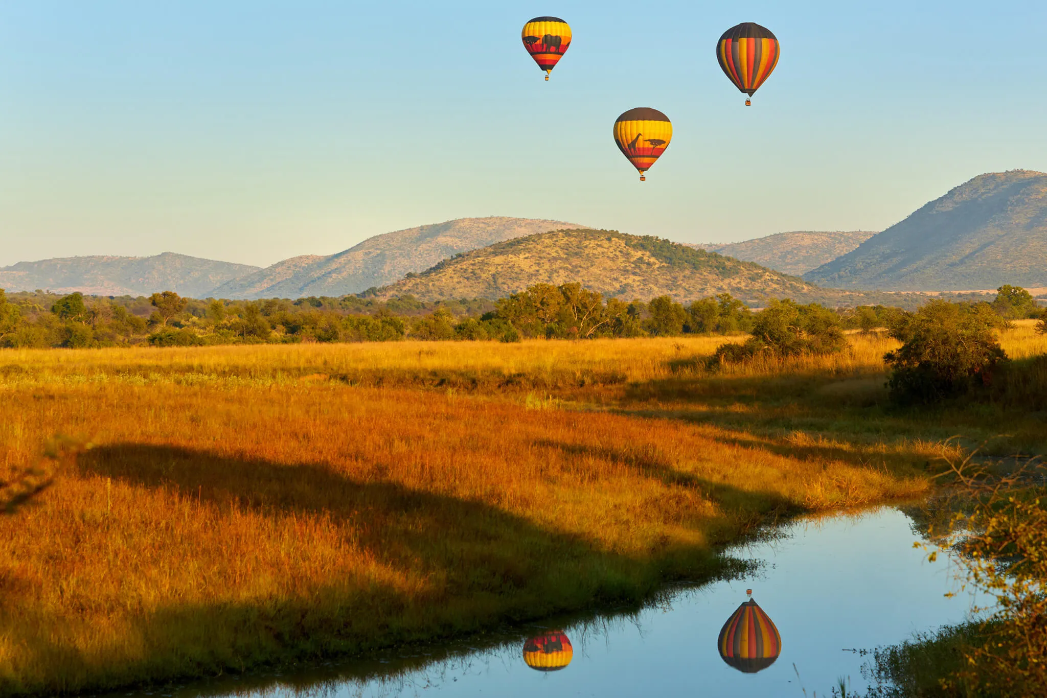 Hot Air Balloon Safari 
