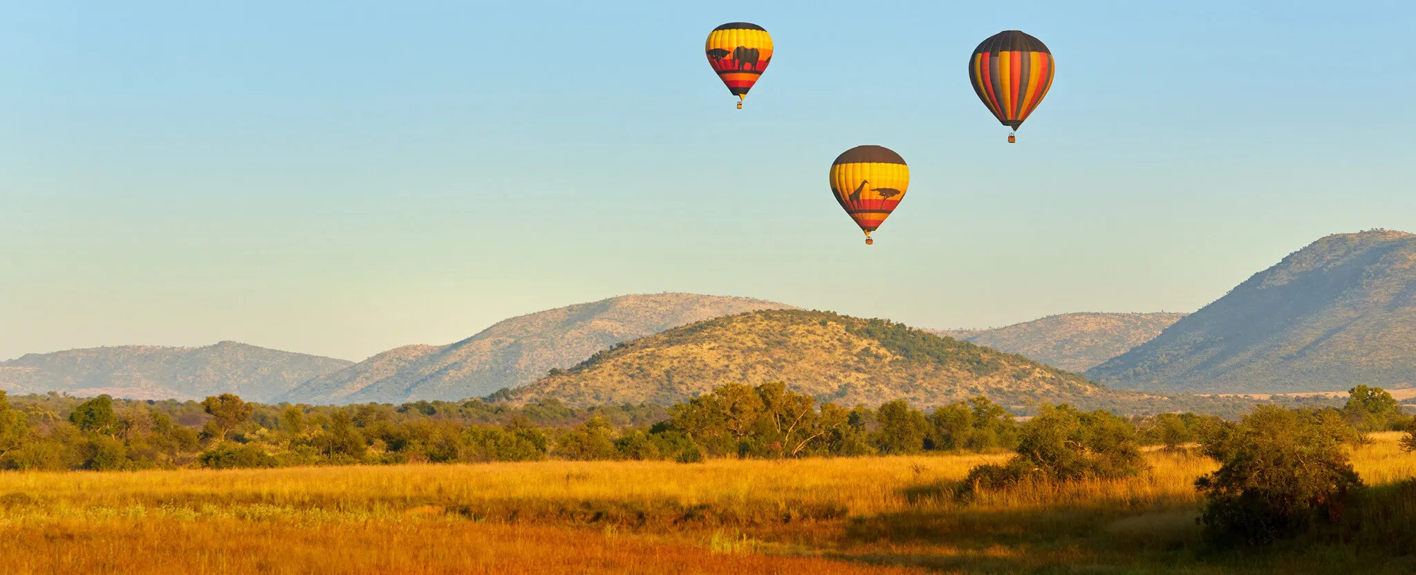 See the Serengeti from a Balloon!