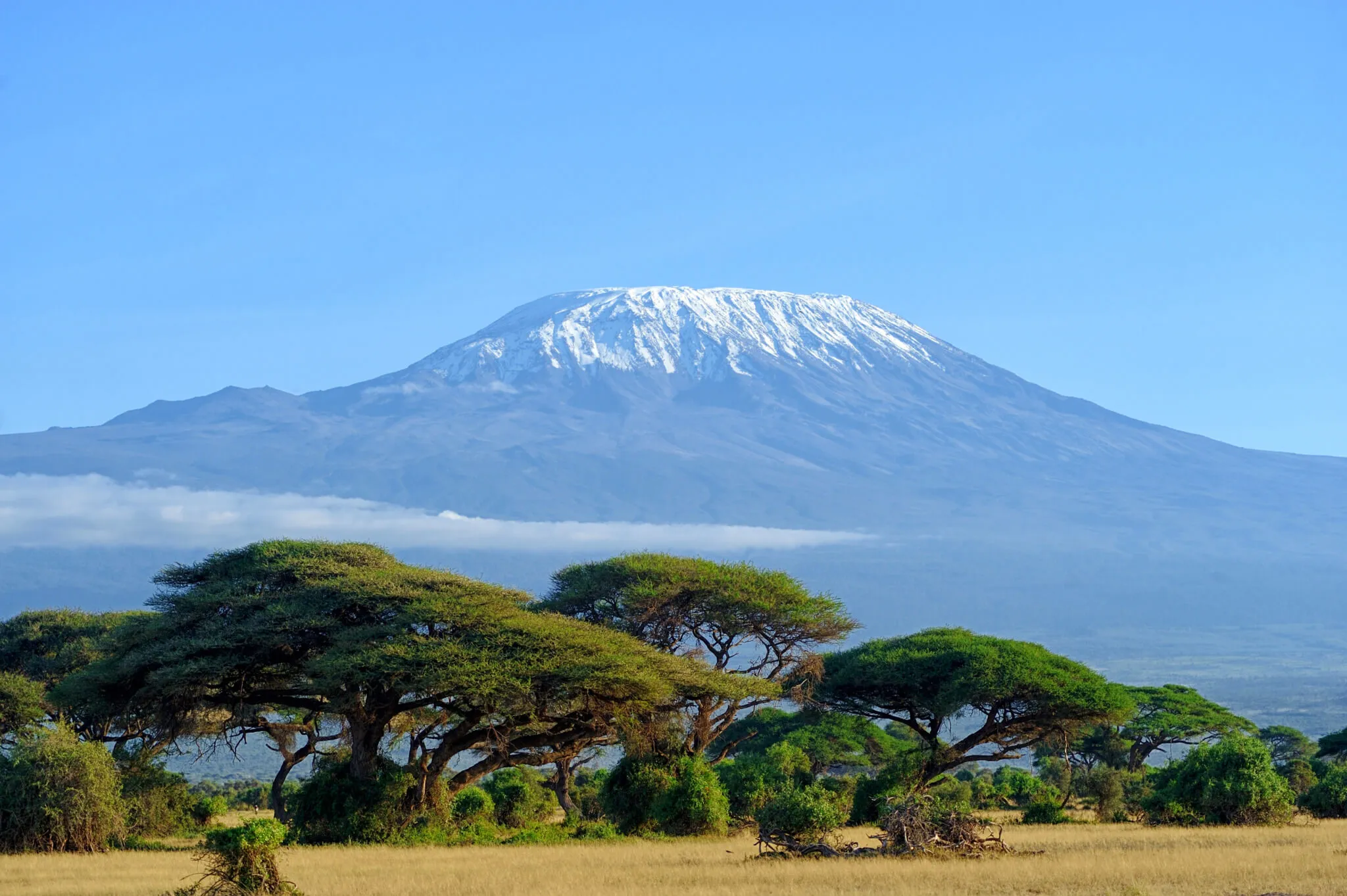 Safari Parks from Mombasa Safari Parks from Mombasa
