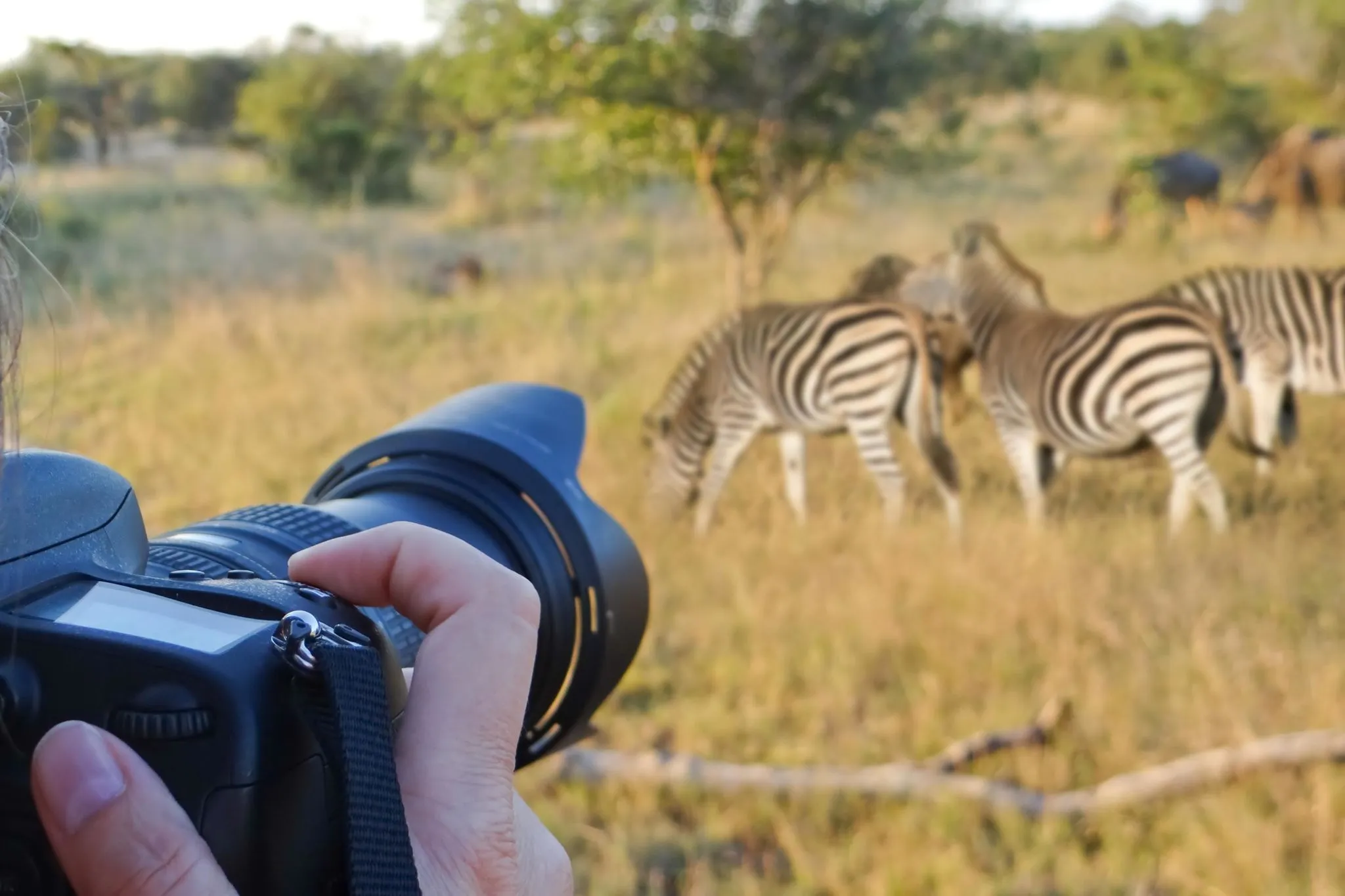 Serengeti Safari Guide: Packing and Food