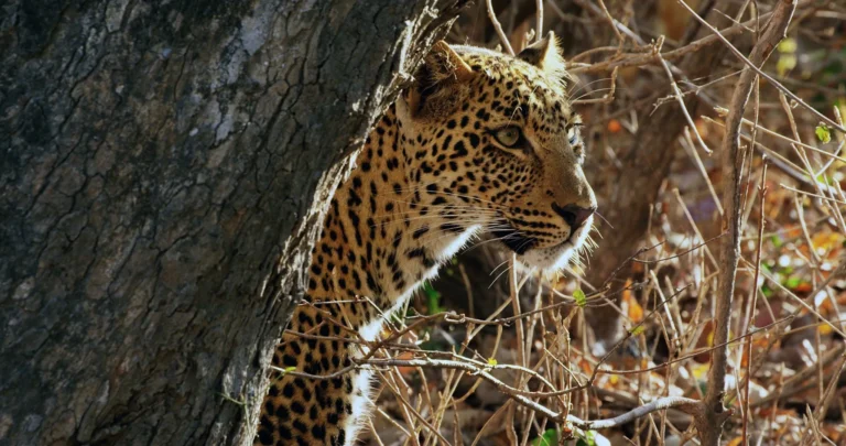 How to Spend Two Weeks in Tanzania