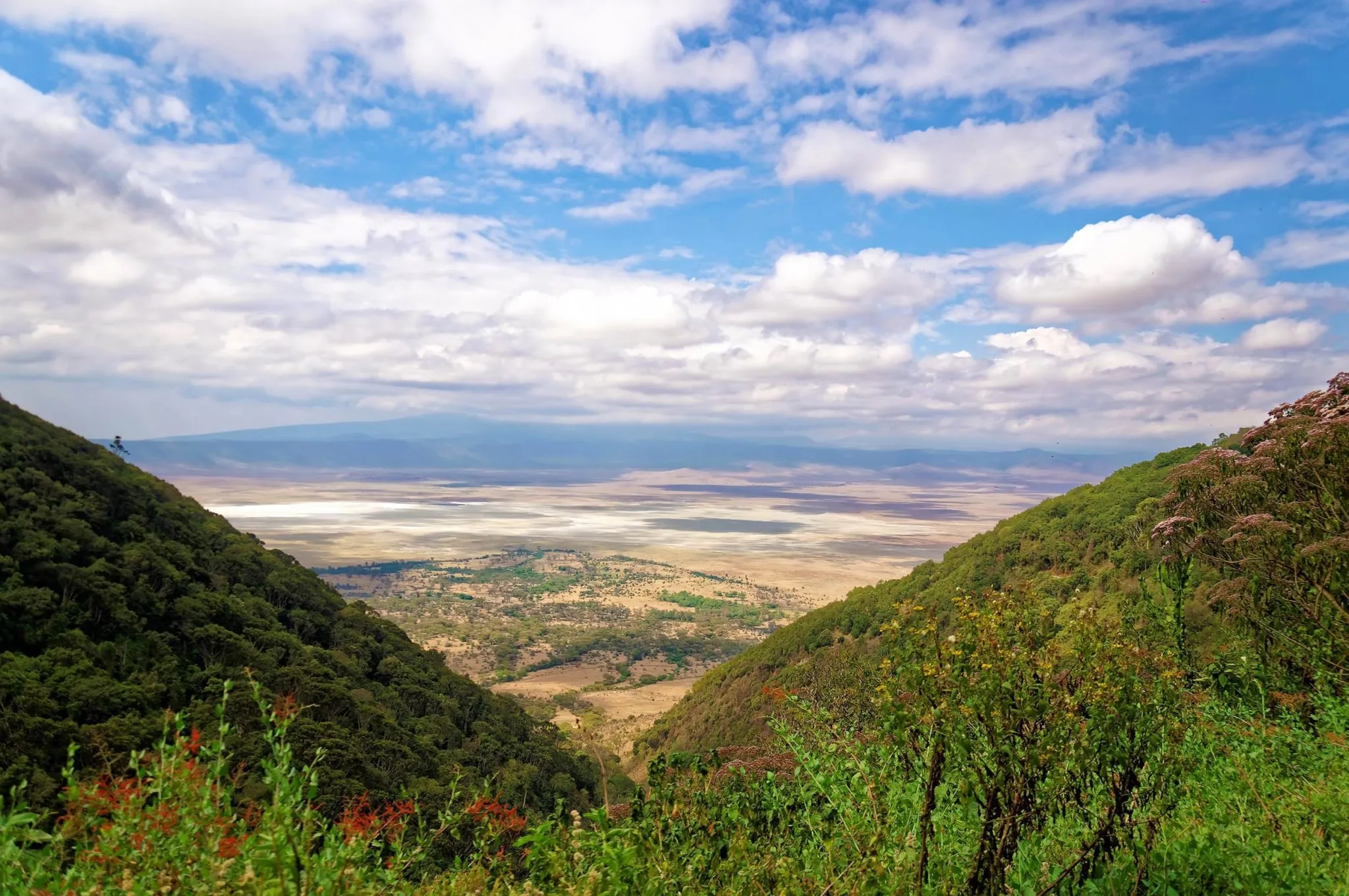 Ngorongoro Crater Highlands Trekking 