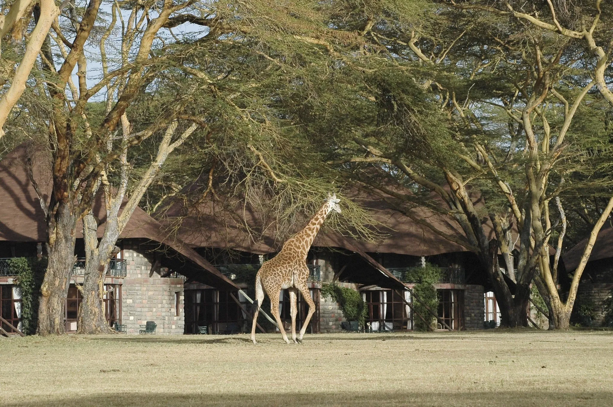 visit to kenya