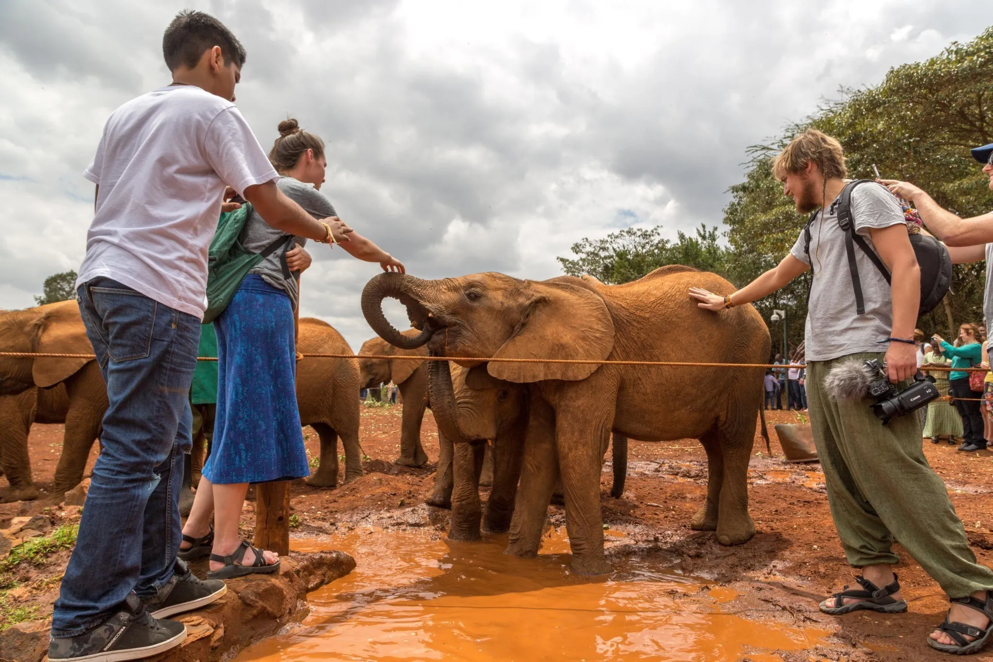 kenya visit elephants 