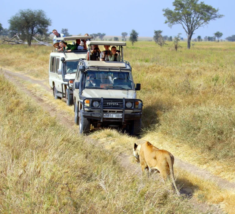 Optional Activities During a Tanzanian Safari