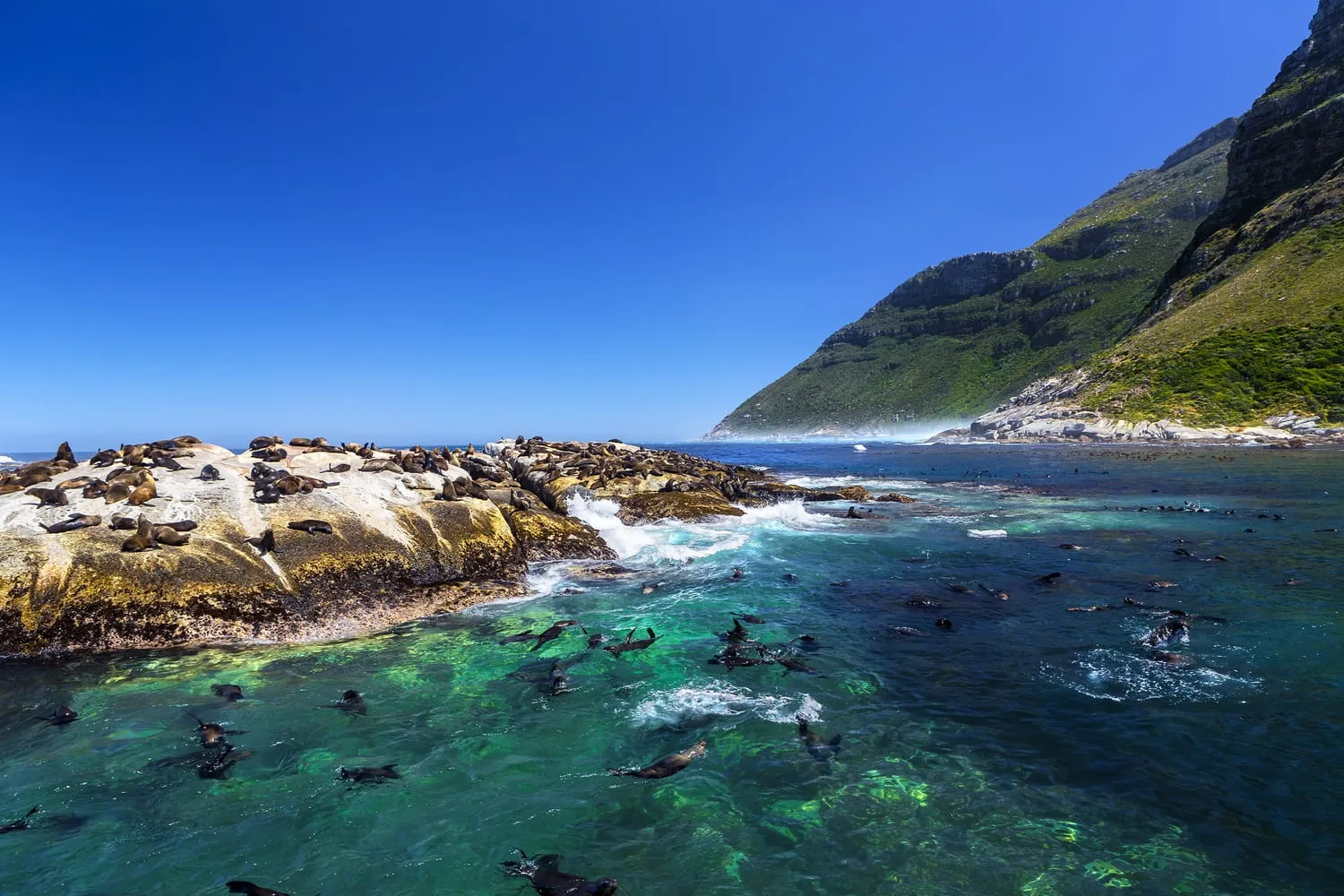 Cape Town Harbour cruise