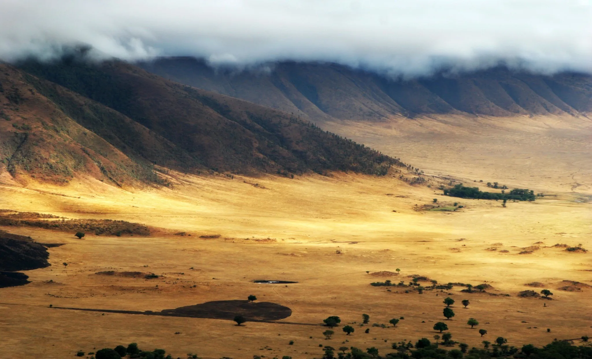 ngorongoro safari