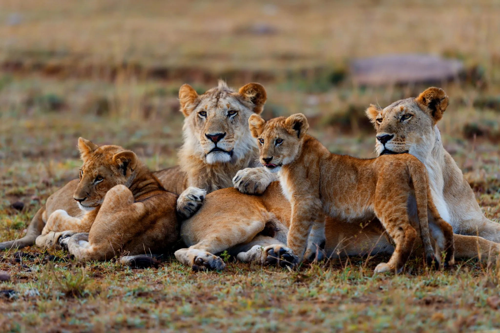 Serengeti National Park
