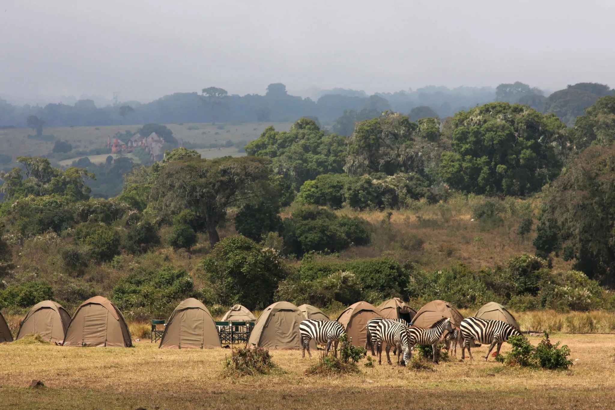 tanzania camping safari
