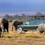 Essential Safari Etiquette – How to be a Responsible Traveler