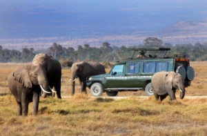 Essential Safari Etiquette – How to be a Responsible Traveler