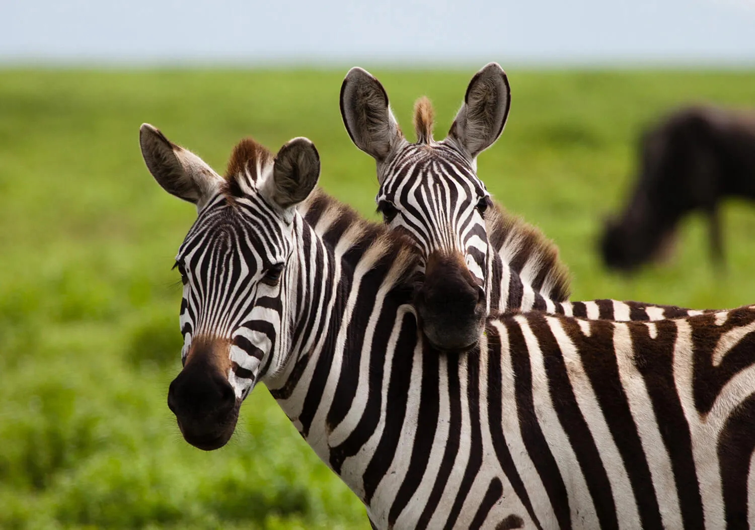 join-the-group-tanzania