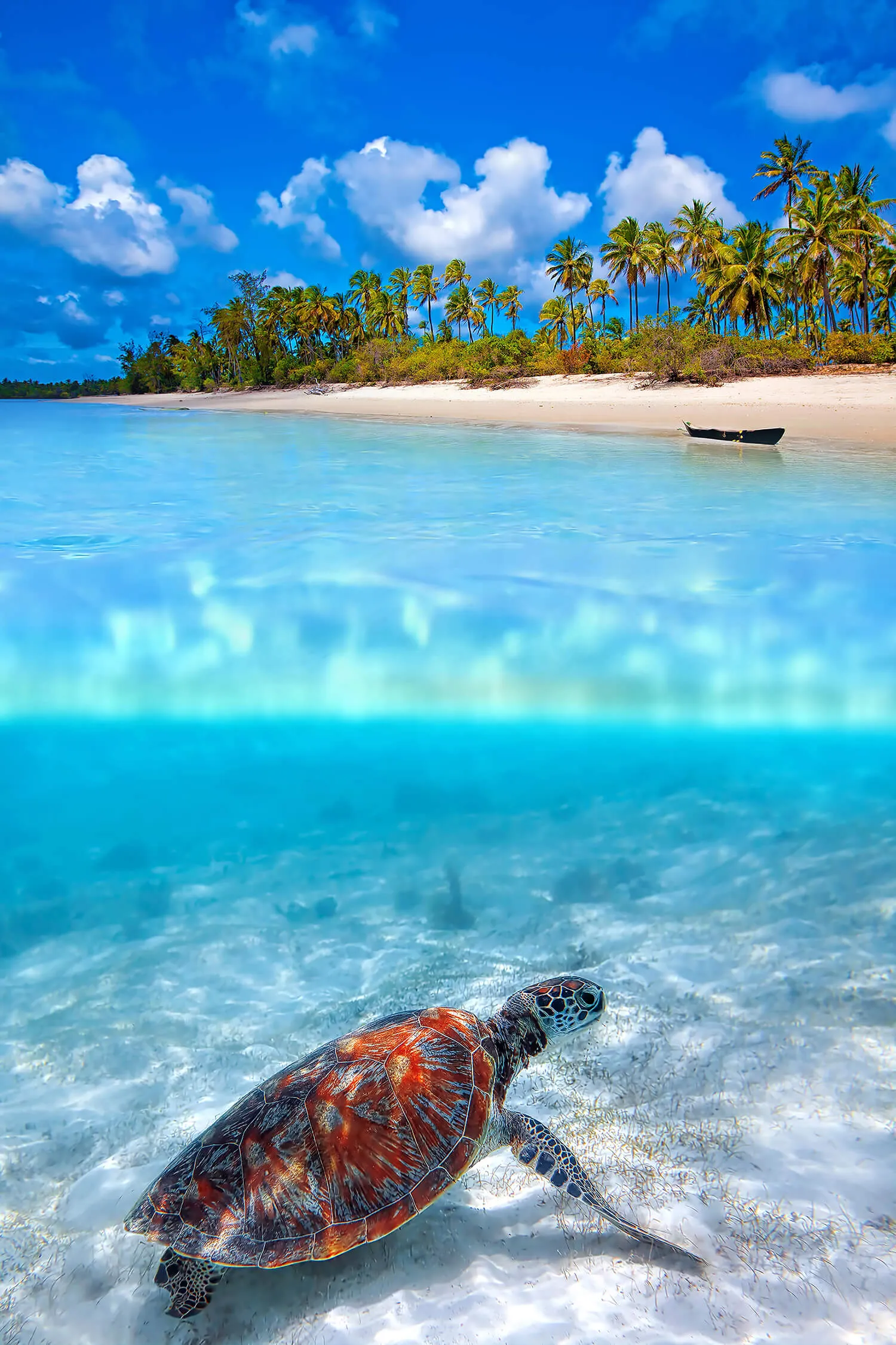 Nungwi natural aquarium & Mnarani marine turtles conservation pond