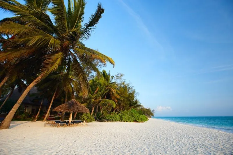 Indian Ocean beach escapes,Rainy season safari