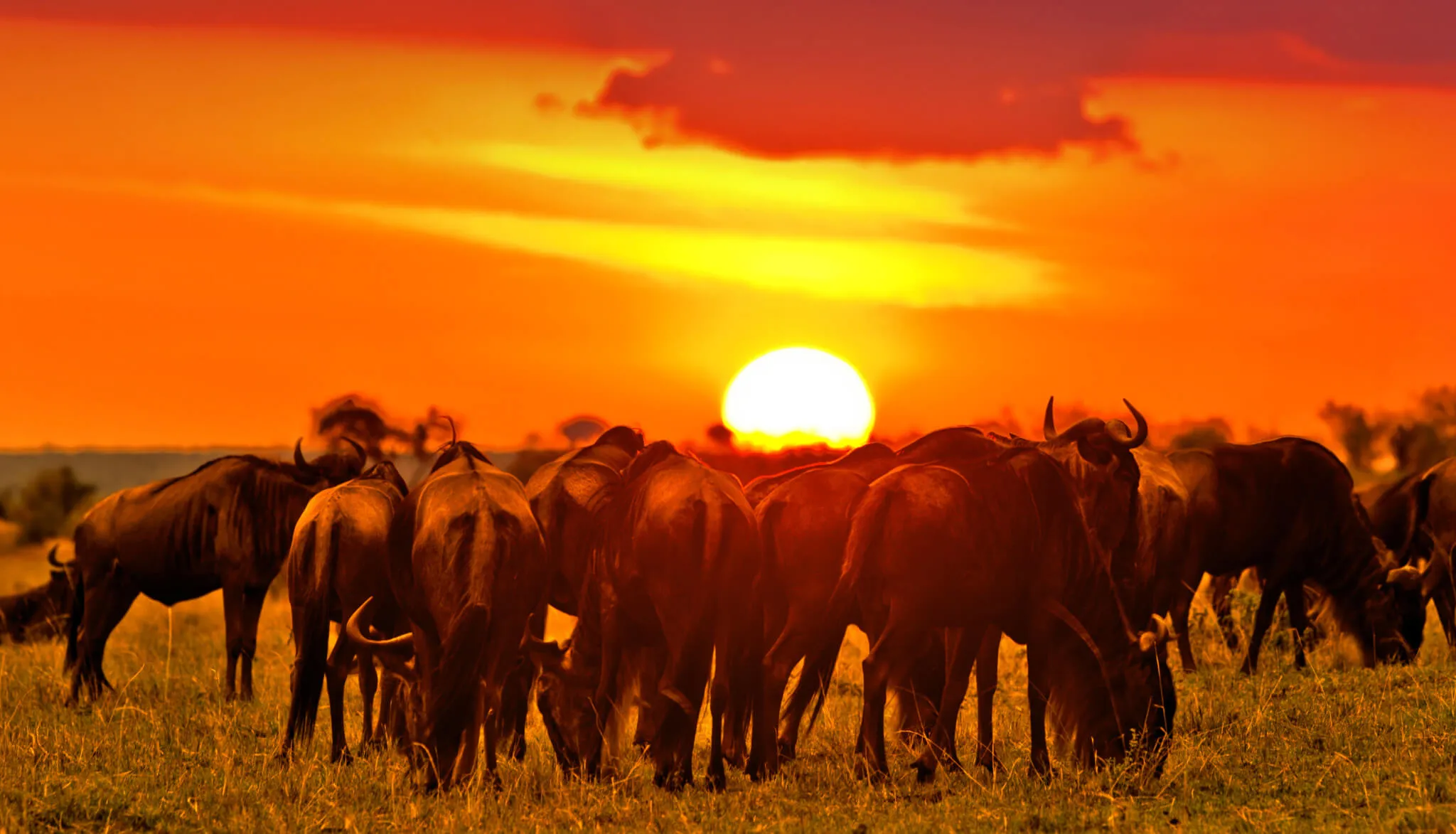 Romantic sunset on a beach holiday in Kenya