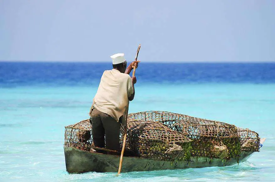 Zanzibar general information